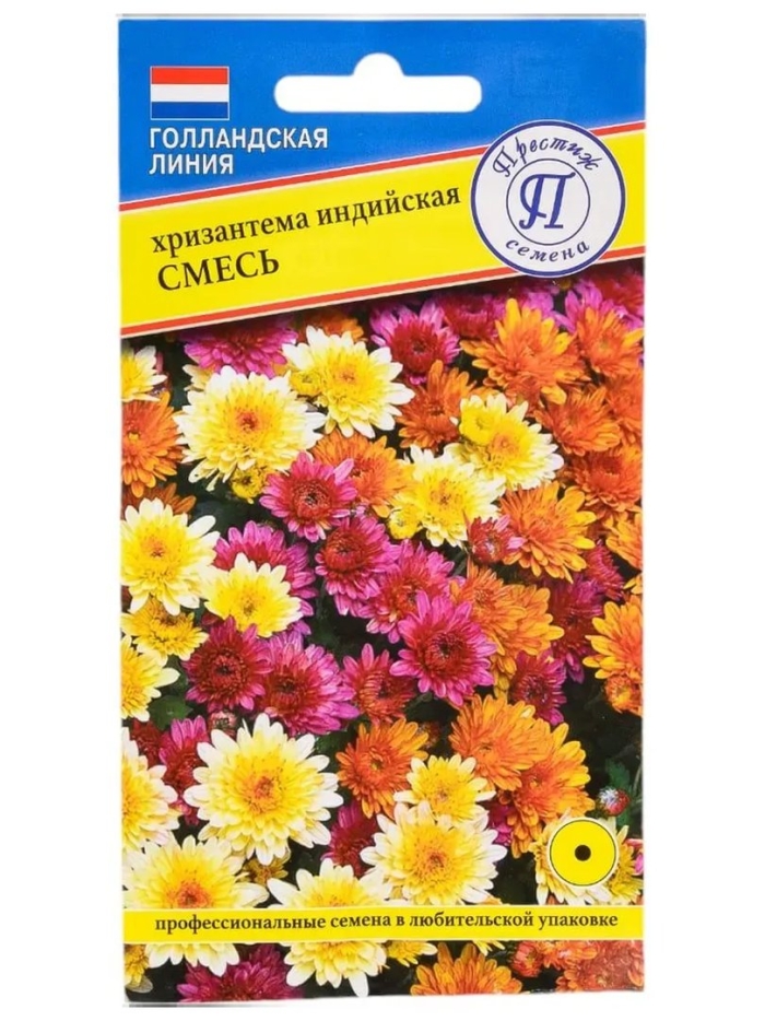 Хризантема крупноцветковая индийская смесь