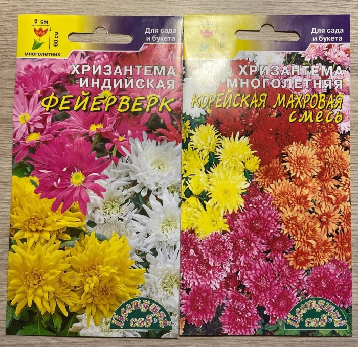 Семена хризантемы многолетней мультифлора