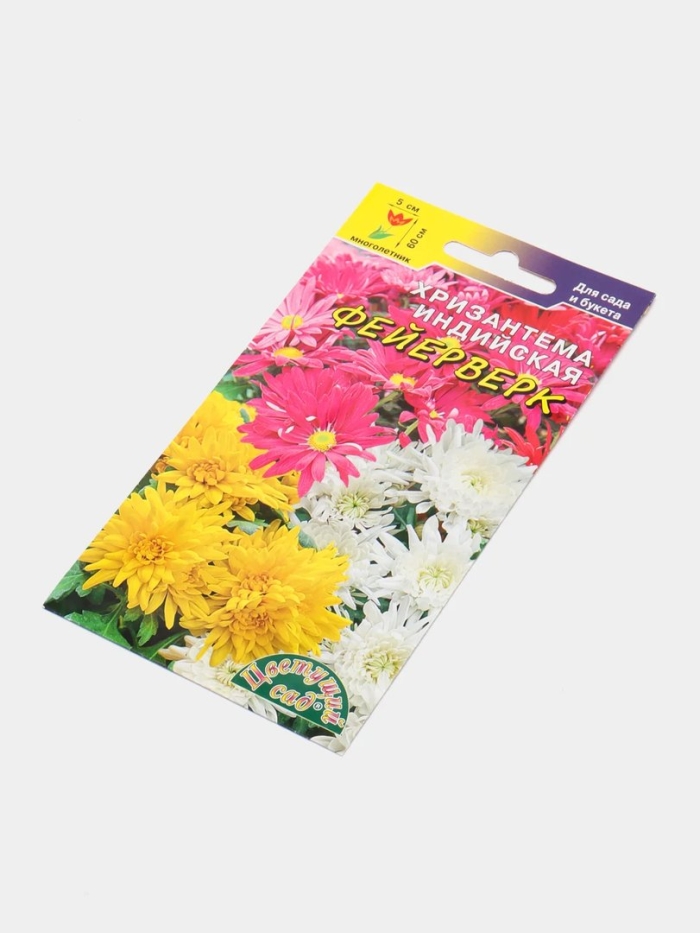 Хризантема махровая дунетти