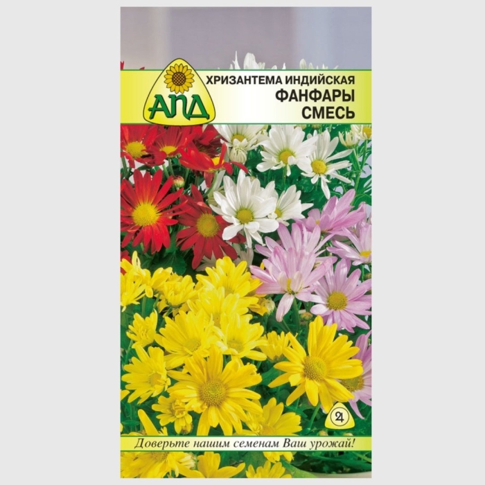 Хризантема индийская смесь фанфары