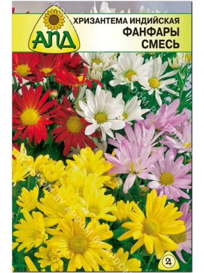 Хризантема индийская индикум смесь