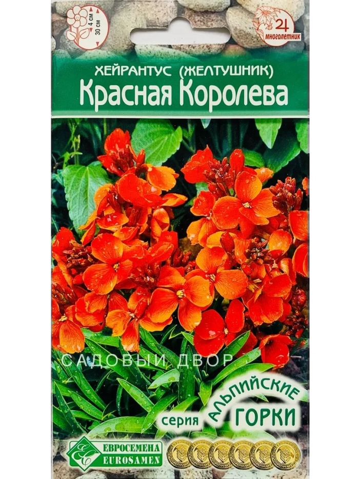 Хейрантус (желтушник) красная королева