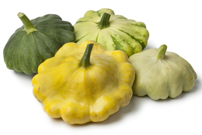 Патиссон кукурбита