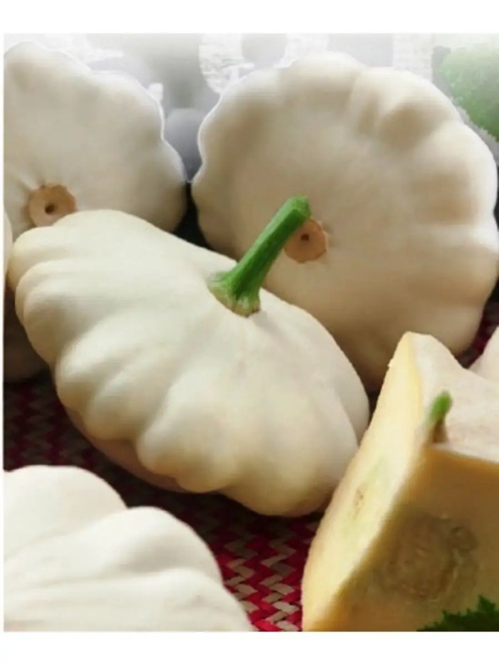 Патиссон диск