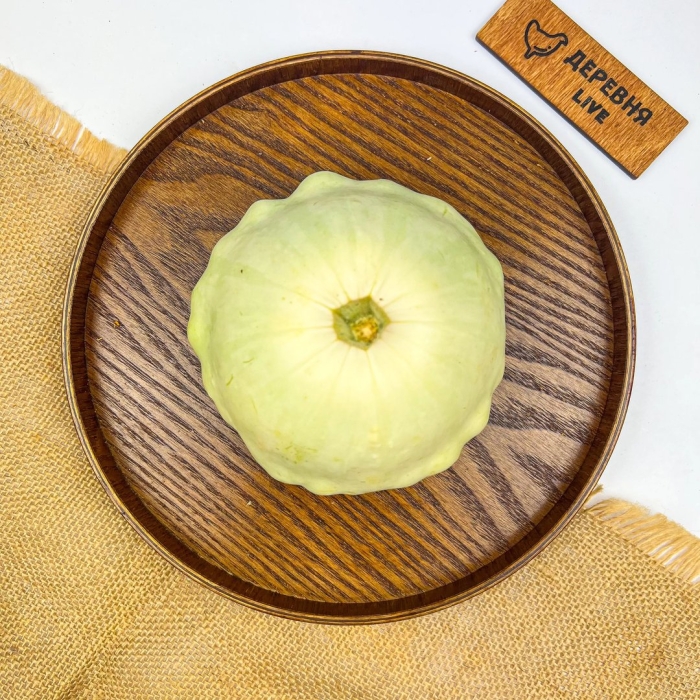 Патиссон белый