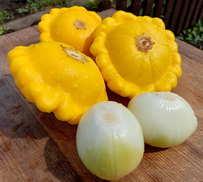 Патиссон солнышко