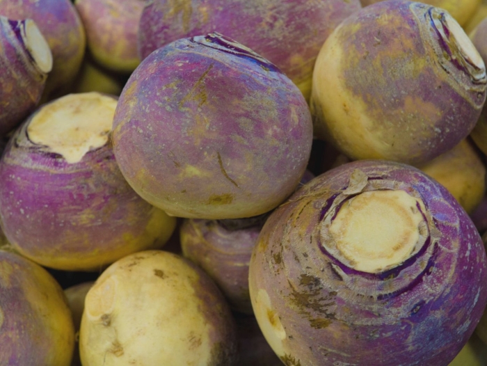 Брюква корнеплоды