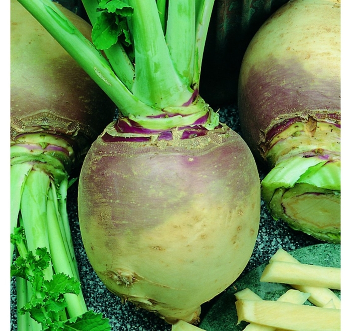 Турнепс брюква