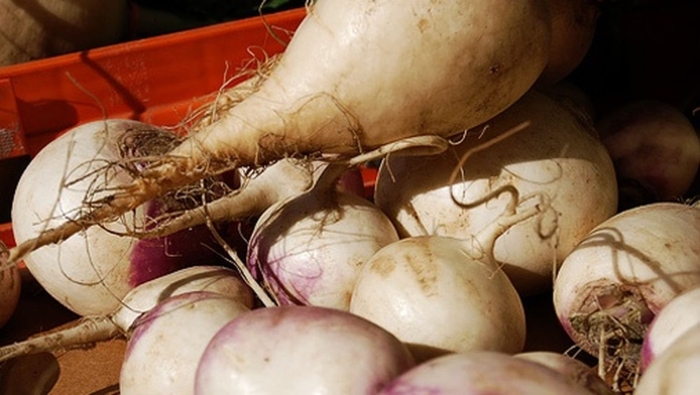 Турнепс брюква