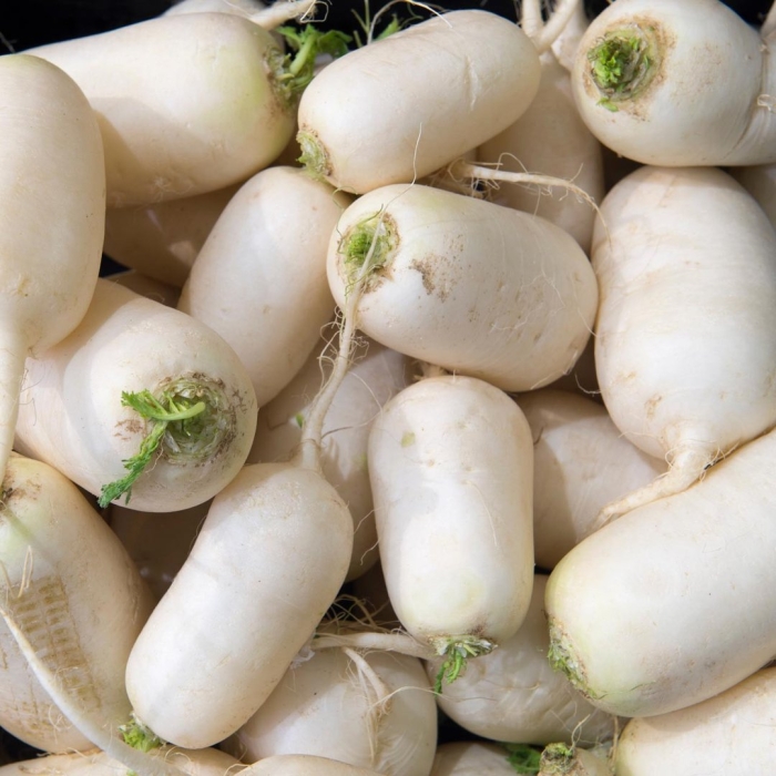 Семена турнепс остерзундомский