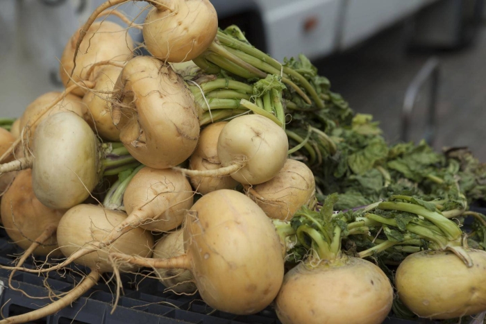 Репа голден болл