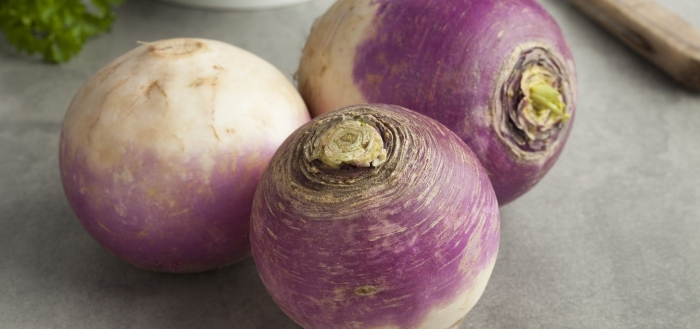 Турнепс фиолетовый