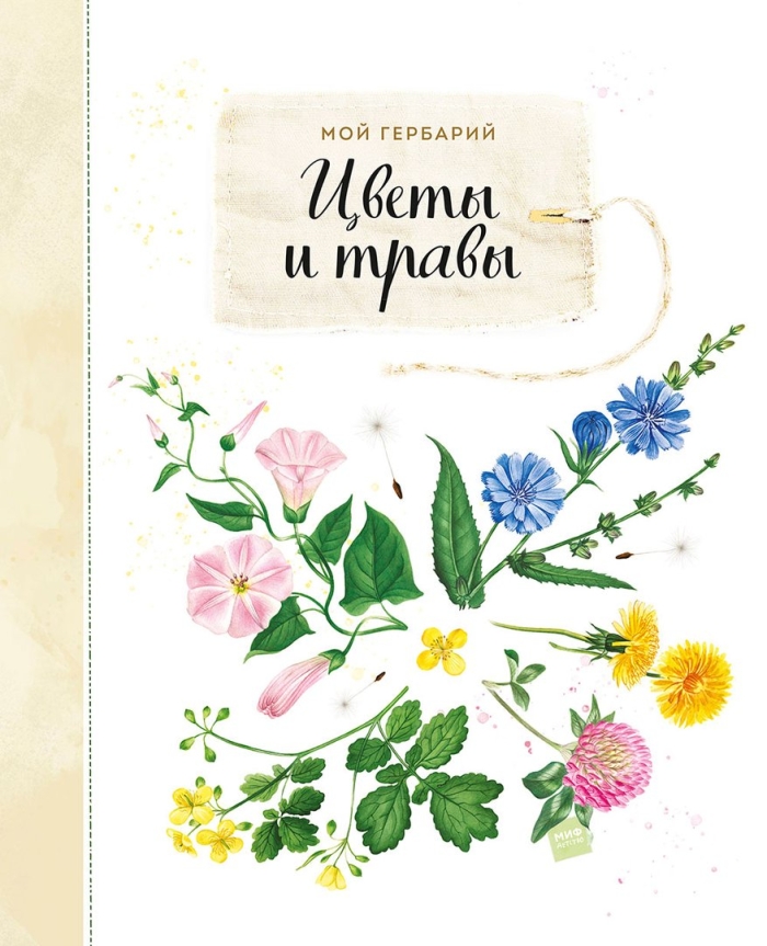 Анна васильева: мой гербарий.