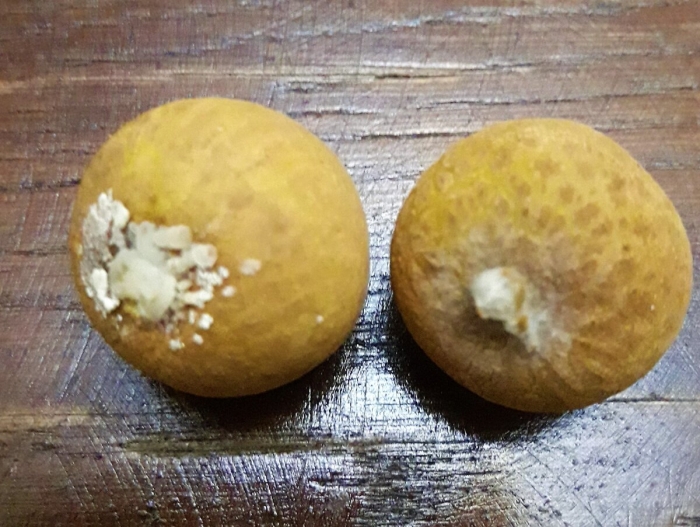 Лонган фрукт