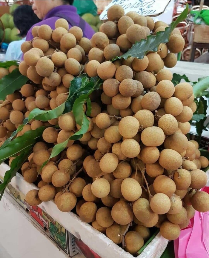 Тайский виноград лонган