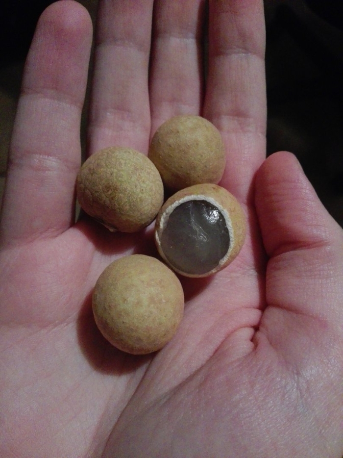 Фрукт тайланд