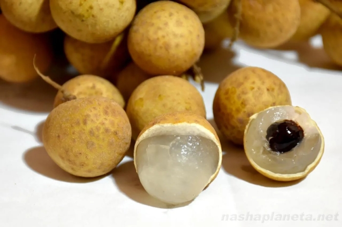 Глаз дракона фрукт лонган