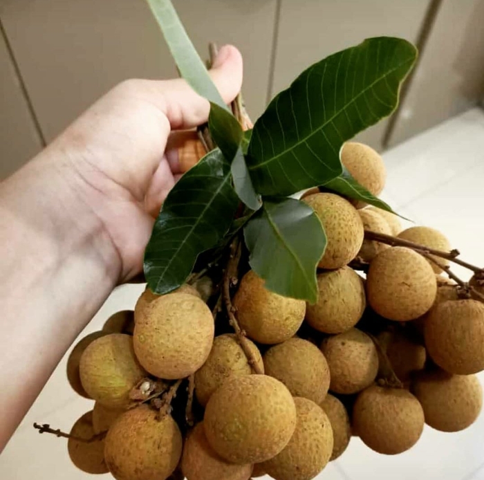 Тайские фрукты лонган