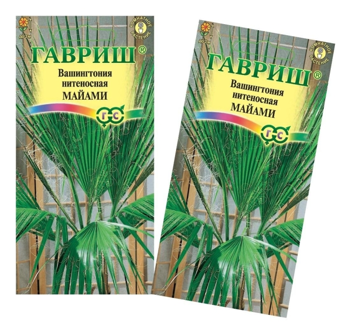 Вашингтония нитеносная семена