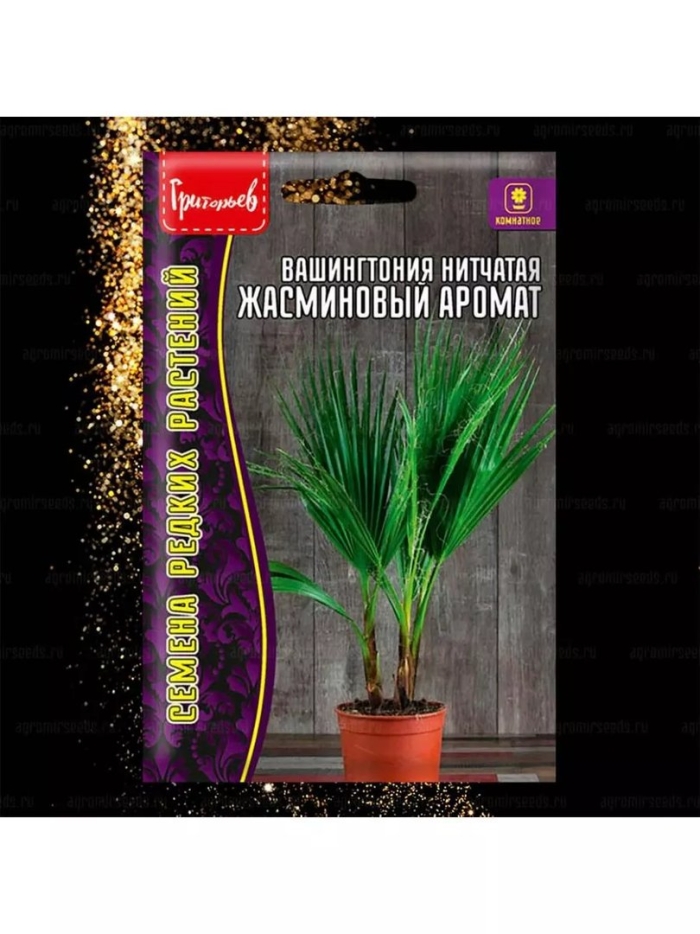 Вашингтония нитчатая жасминовый аромат