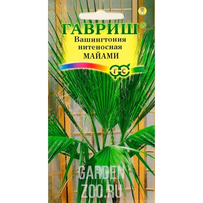 Вашингтония нитеносная майами