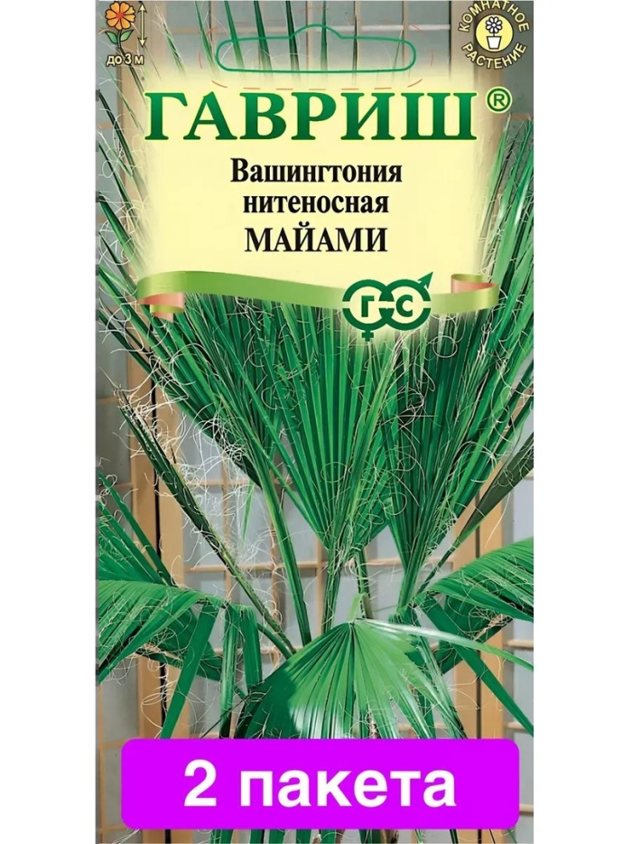 Гавриш вашингтония нитеносная майами