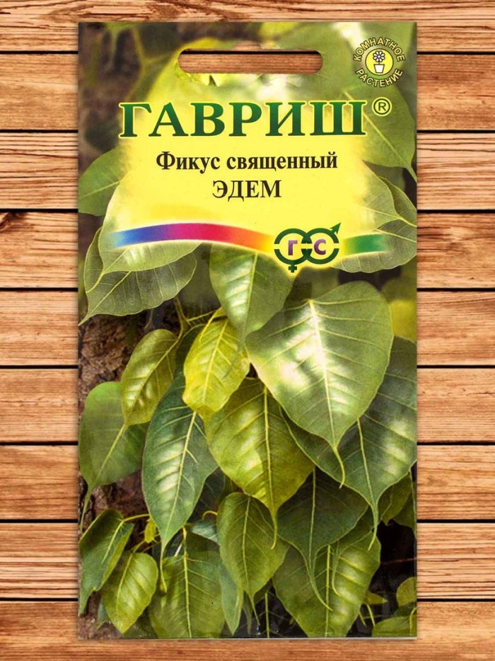 Семена фикус священный эдем