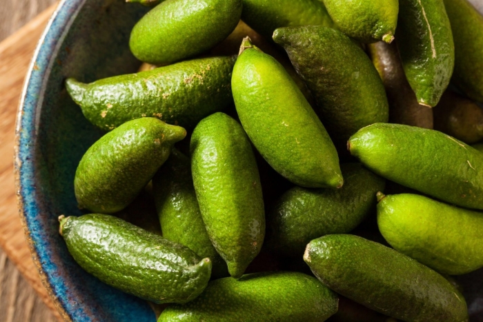 Австралийский пальчиковый лайм (finger lime)
