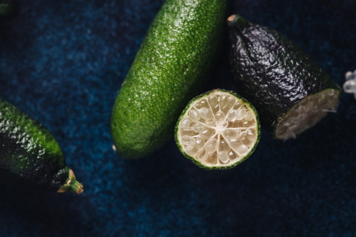 Microcitrus australis