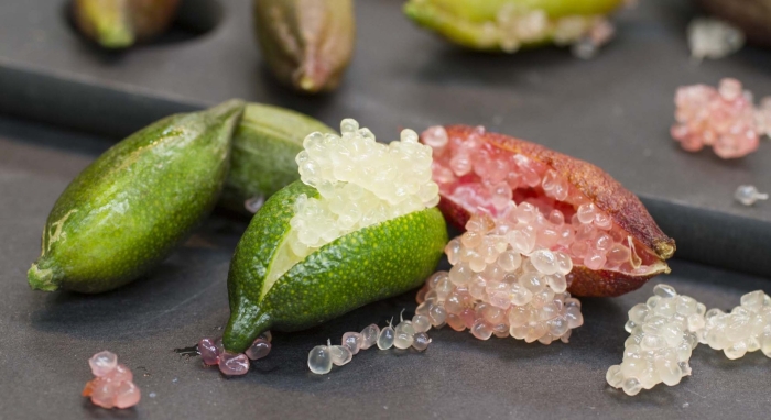 Микроцитрус австралазика