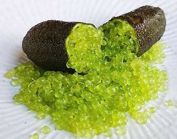 Зеленая икра