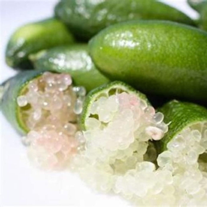 Австралийский пальчиковый лайм (finger lime)