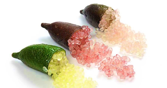 Микроцитрус папуана