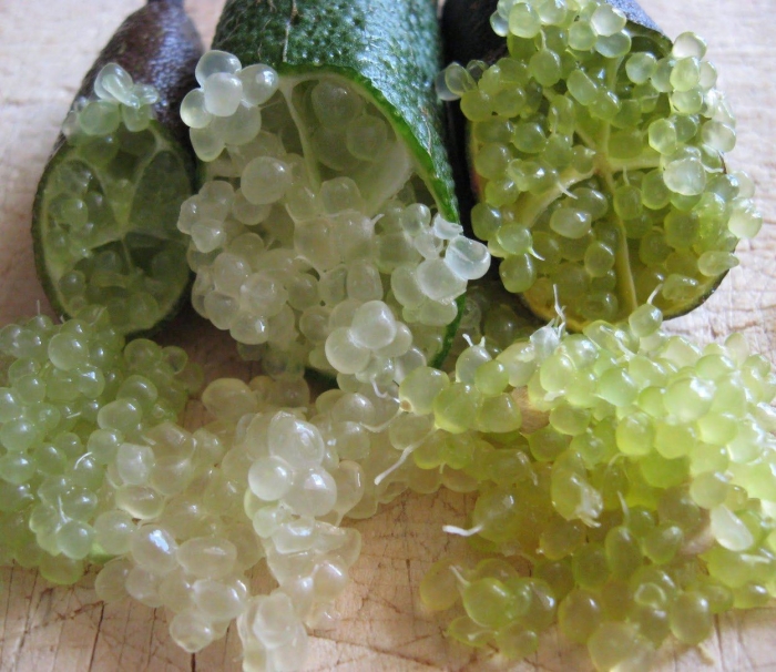 Citron caviar