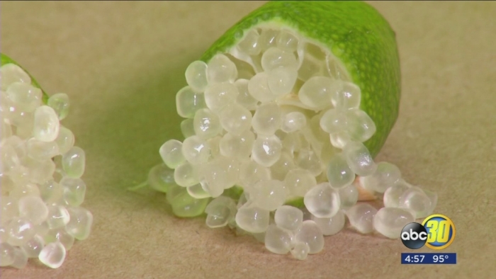 Австралийский пальчиковый лайм (finger lime)