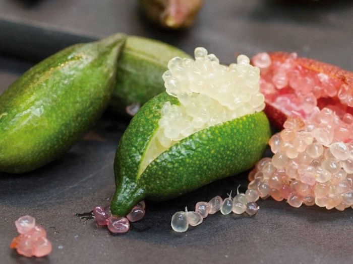 Австралийский пальчиковый лайм (finger lime)