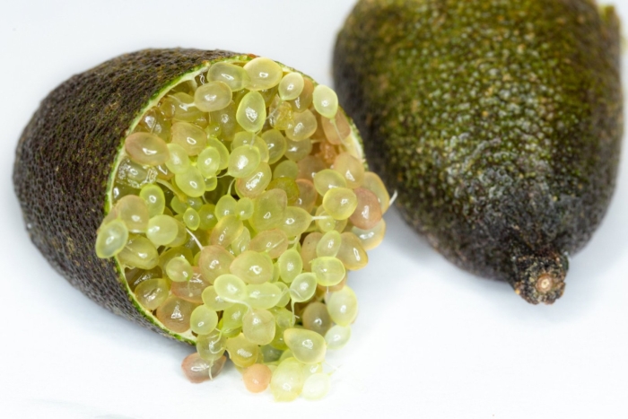 Lime caviar