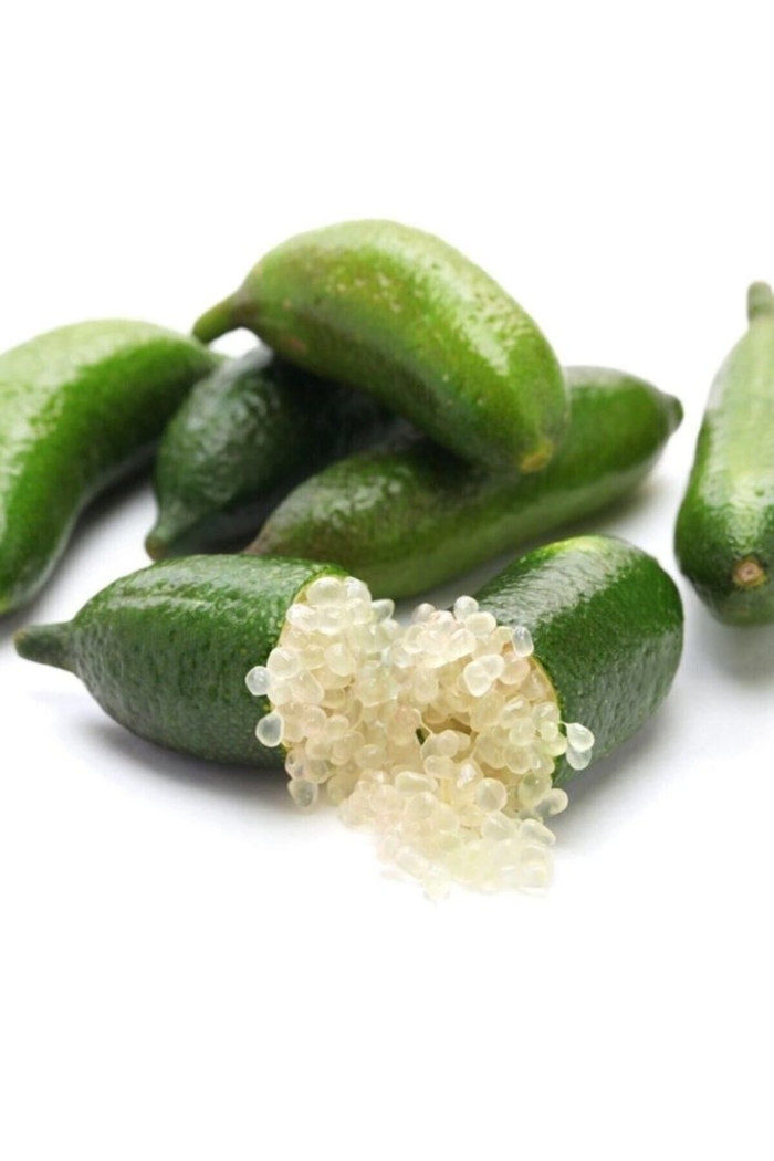 Фингер лайм