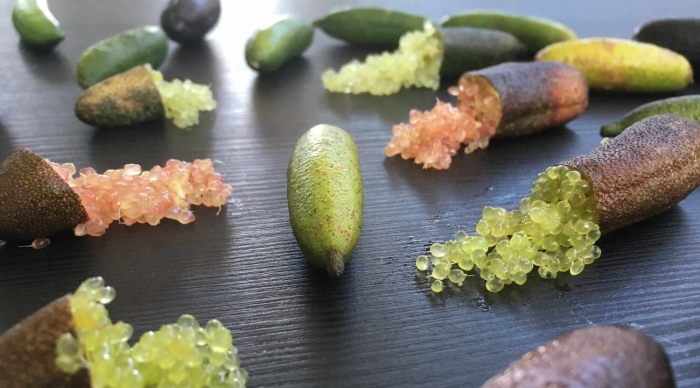 Австралийский пальчиковый лайм