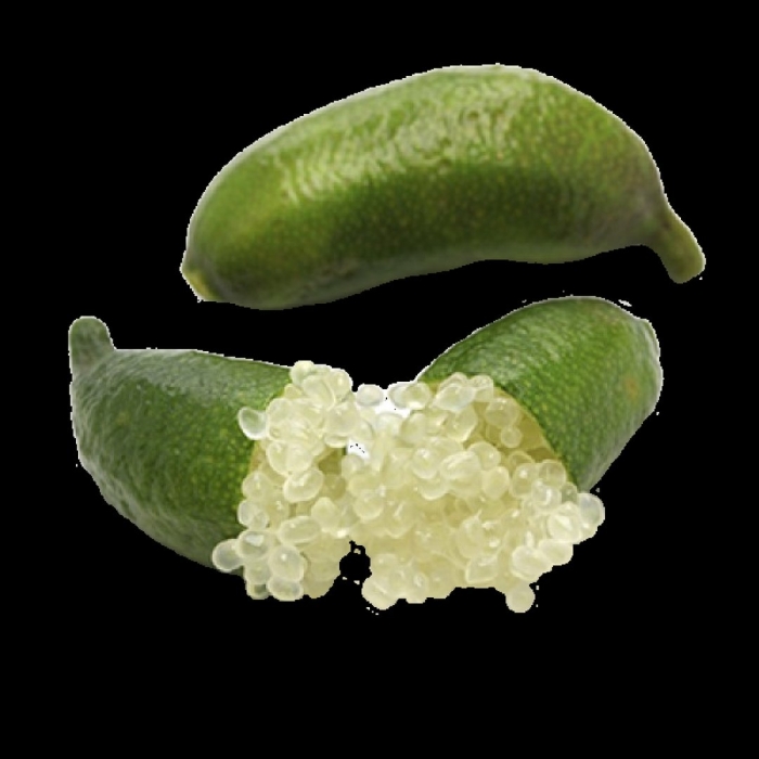 Caviar lime