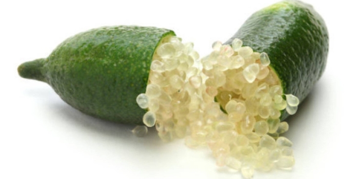 Цитрус лайм пальчиковый