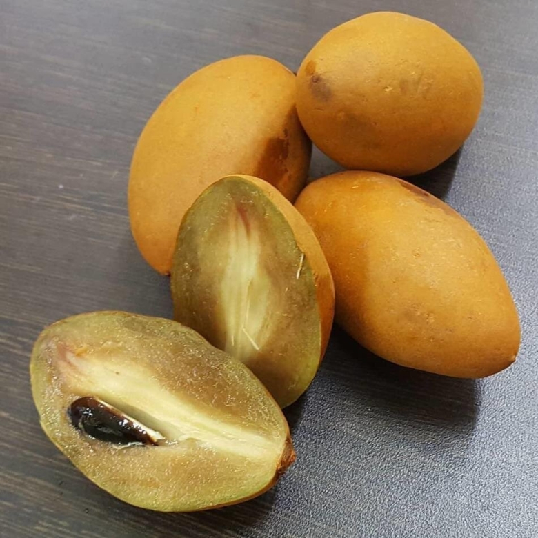 Тайская Саподилла