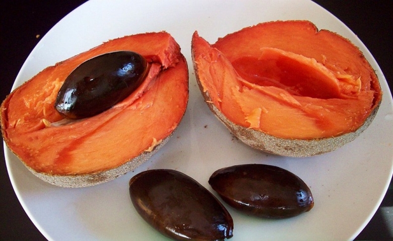 Сапоте фрукт Доминикана