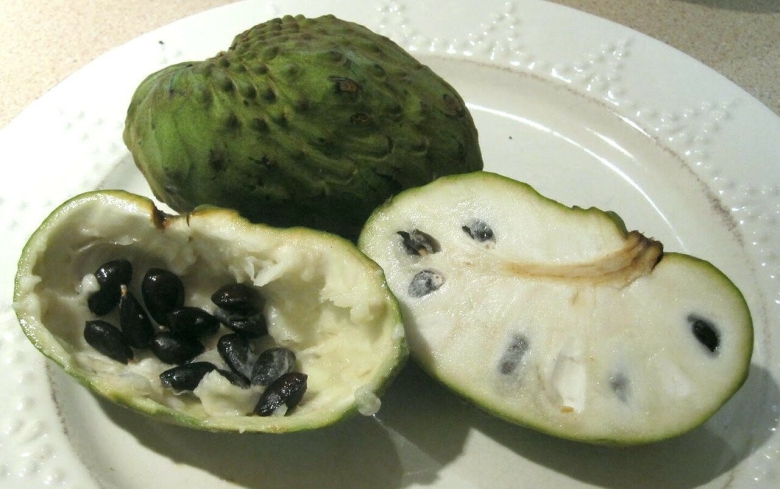 Аннона Сильватика