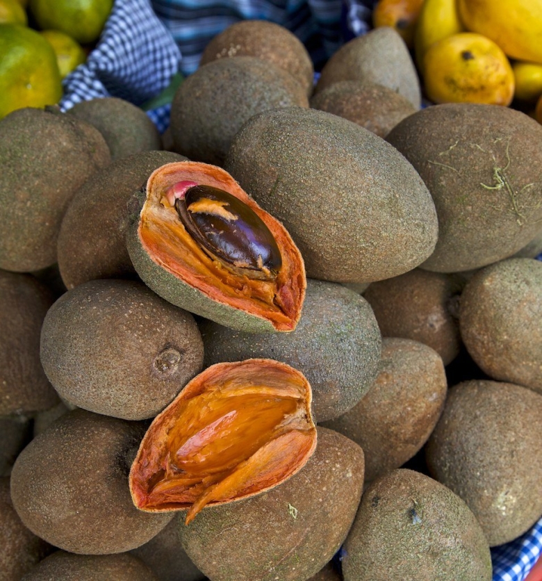 Мамей Мексики