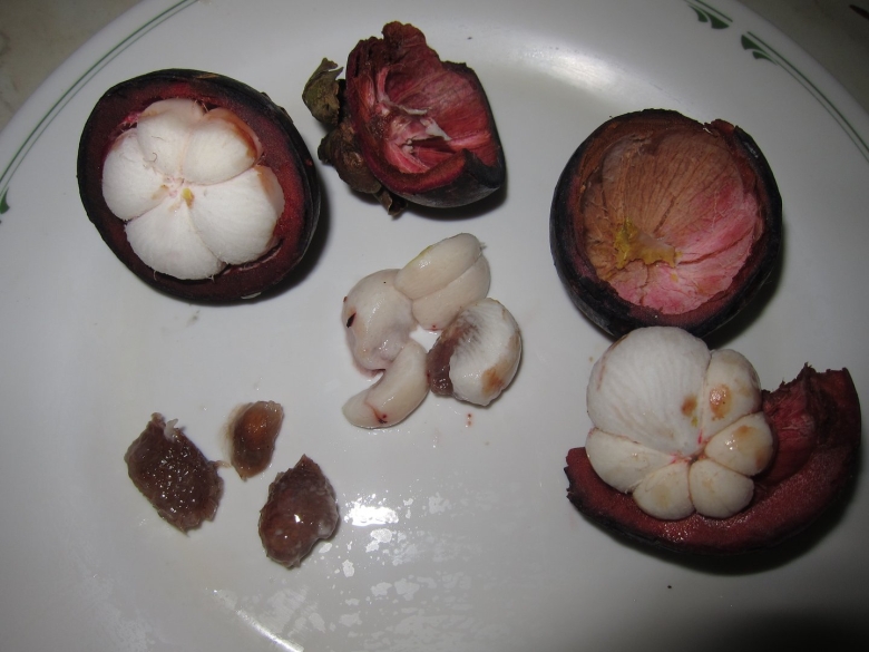 Мангостан мангустин