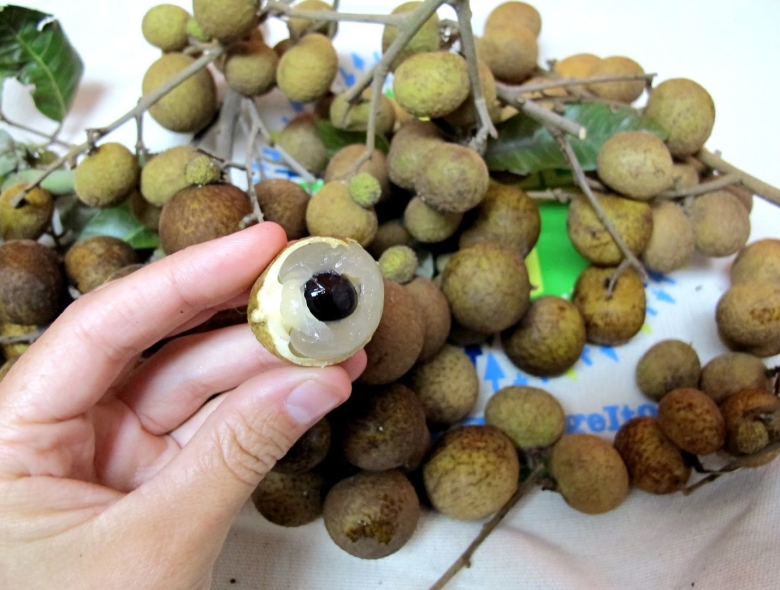 Фрукты Тайланда лонган