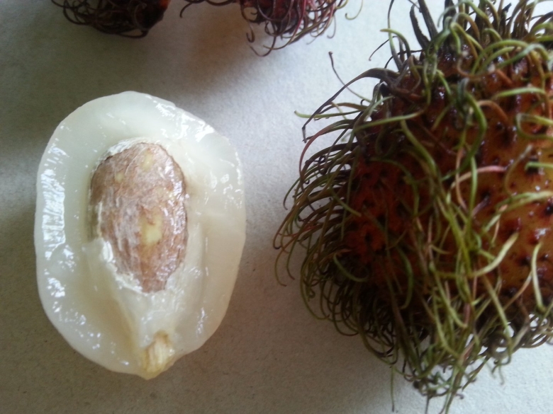 Рамбутан косточка