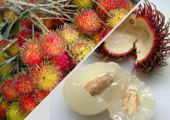 Фрукт тайланд