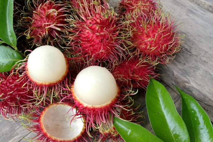 Рамбутан мангустин